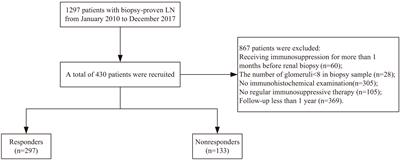 Prediction of treatment response in lupus nephritis using density of tubulointerstitial macrophage infiltration